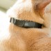 GPS-ошейник для кошек. Pawtrack Cat Collar 3